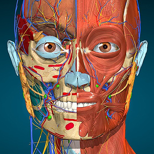 Anatomía 3D – AnatomyLearning